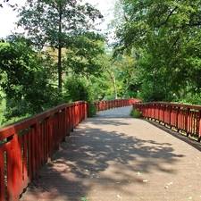 trees, viewes, bridge, Park, wooden