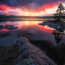 lake, Ringerike, woods, Great Sunsets, Norway, Islet, trees
