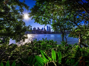 viewes, New York, Sunrise, Brooklyn Bridge, Gulf, trees