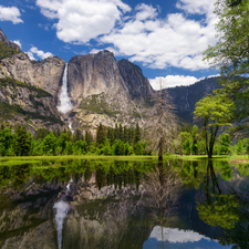 viewes, Mountains, Yosemite Falls, California, green ones, Yosemite National Park, Sierra Nevada, The United States, River, trees