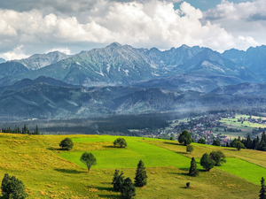 viewes, Tatras, Zakopane, trees, Mountains, Valley, Poland