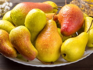 boarding, truck concrete mixer, plate