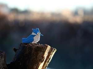 trunk, Origami, birdies