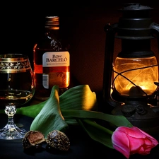 composition, Lamp, tulip, alcohol