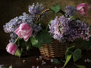 Tulips, basket, flowers, Lilacs, bouquet