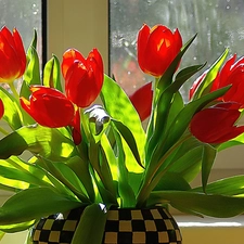 tulips, Window, bouquet