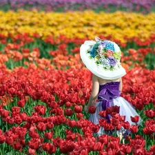 girl, Field, tulips, hat