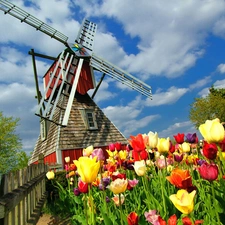 Windmill, Field, Tulips, Fance