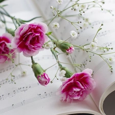 Tunes, Flowers, cloves