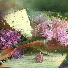 Tunes, Rain, lilac, instrument, Twigs