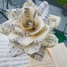 Tunes, paper, rose