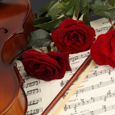 Tunes, roses, instrument, musical, violin