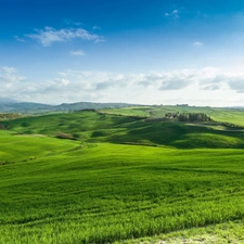 roads, medows, Tuscany, Italy, vineyards, Mountains