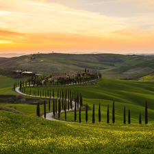 Tuscany, Italy, The Hills, trees, cypresses, Sunrise, Houses, Way, viewes