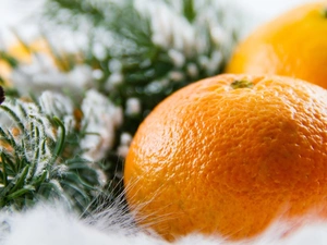 mandarin, Babes, Cinnamon, Twigs