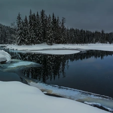 woods, snow, twilight, River