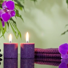 orchids, Spa, Candles, purple, composition, Two, Stones