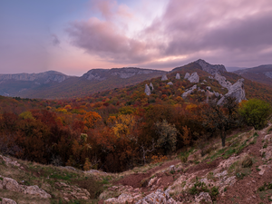 woods, trees, Sevastopol, viewes, Crimean Mountains, autumn, Ukraine