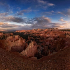 viewes, pine, The United States, roots, Utah, trees, canyon, Bryce Canyon National Park