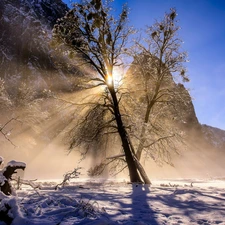 snow, winter, Mountains, trees, California, The United States, sun, Yosemite National Park, light breaking through sky