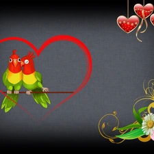 Parrots, Valentine