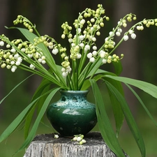 vase, small bunch, trees, viewes, trunk, Lily of the Valley