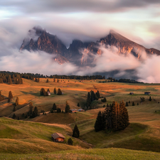 Fog, Dolomites, woods, Alps Mountains, Italy, Valley, Houses