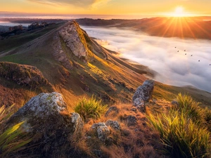 Tukituki River, Te Mata Peak, Fog, The Hills, Valley, Hawkes Bay, New Zeland, Sunrise
