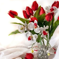 bouquet, Tulips, Vase, flowers