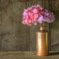 hydrangea, vase