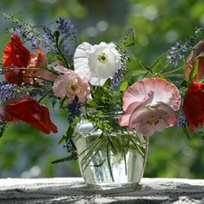 Vase, bouquet, papavers