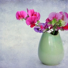 vase, Flowers, peas