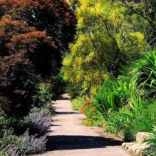 VEGETATION, Garden, Coloured