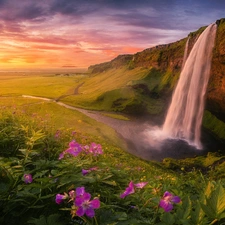 VEGETATION, Seljalandsfoss Waterfall, clouds, Flowers, rocks, Great Sunsets, iceland