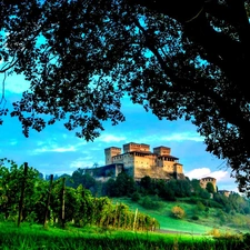 VEGETATION, Castle, trees