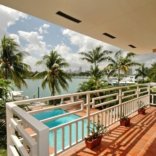 View, Balcony, Palms