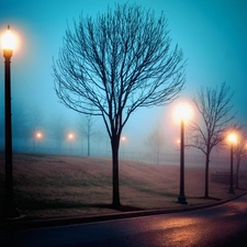 trees, Automobile, Fog, lanterns, Way, viewes, autumn