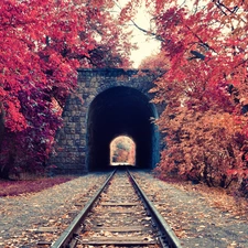 trees, ##, Leaf, railway, tunnel, viewes, autumn