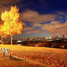 trees, panorama, Bench, town, River, viewes, autumn