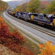 viewes, autumn, ##, trees, Train