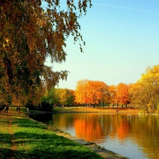 color, Park, viewes, autumn, trees, River