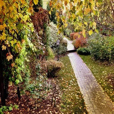 Leaf, Park, viewes, autumn, trees, Path