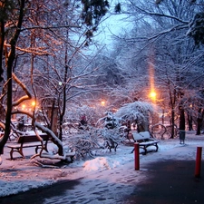 sun, trees, bench, luminosity, Przebijaj?ce, Park, viewes, winter, flash, ligh