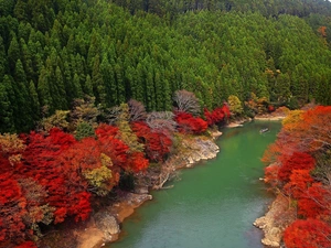 color, River, viewes, Boat, trees, woods