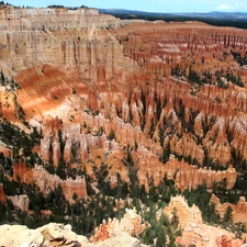 canyon, trees, viewes, rocks