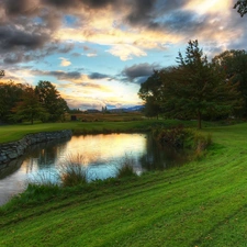 viewes, clouds, grass, trees, brook