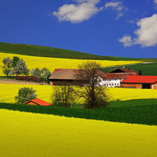 viewes, clouds, buildings, trees, field