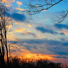 clouds, trees, viewes, Sky