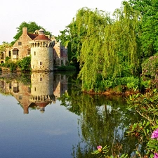 trees, lake, Kent, Flowers, Castle, viewes, England