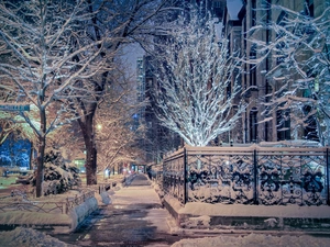The United States, Chicago, Street, winter, viewes, Fance, Snowy, trees, snow